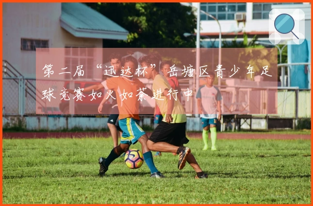 第二届“迅达杯”岳塘区青少年足球竞赛如火如荼进行中